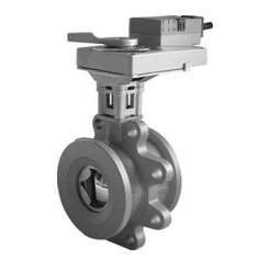 control valve and actuator